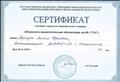 Сертификат участника городского практического семинара " Психолого - педагогическая абилитация детей с РАС"