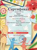 Сертификат куратор Международного детского конкурса.
